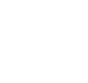 Leaders in Logistics Summit logo