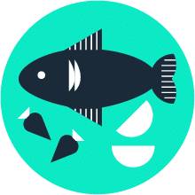 A dark fish with white fins and eyes on a teal background with shapes around the fish.