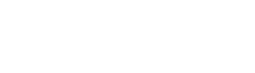 Birkenstock Logo