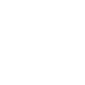 Birkenstock Logo