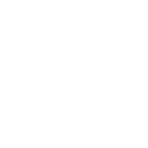 Decathlon Logo